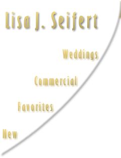 Lisa J. Seifert Photography, Anchorage, Alaska